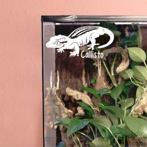 Gargoyle Gecko Customizable Decal, Enclosure Decor, Cute Gift Lizard Reptile Sticker