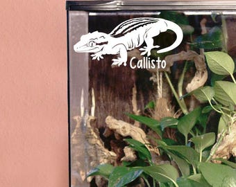 Aanpasbare sticker waterspuwer gekko, decoratie behuizing, leuk cadeau sticker hagedis reptiel