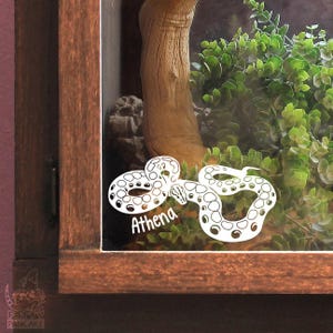 Rainbow Boa Customizable Decal, Gift for Reptile Snake Owners and Lovers, Enclosure or Terrarium Decor Name Tag