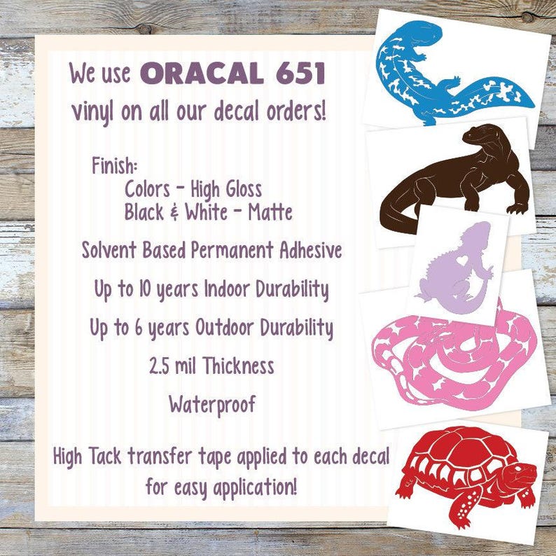 Ball Python Customizable Decal, Personalized Cute Snake Tank Decor, Gift for Snake Lovers and Owners image 6