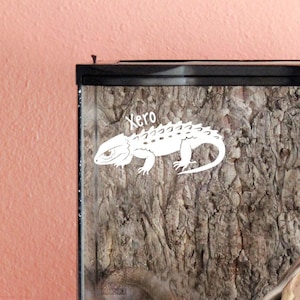 Red-Eyed Crocodile Skink Customizable Decal, Gift for Reptile Lover and Owners, Enclosure Name Tag Decor