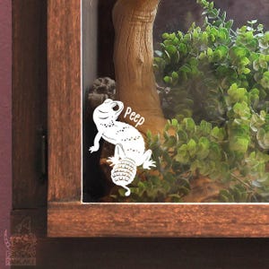 Knob-Tailed Gecko Decal, cute lizard reptile sticker gift, waterproof vinyl
