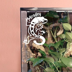 Crested Gecko Decal Customizable Enclosure Decor, gecko decal, reptile decal, reptile sticker, reptile gift, lizard decal