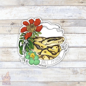 Ball Python Banner Sticker, Gift for Reptile Lovers and Owners, Accessories for Laptops and Water Bottles