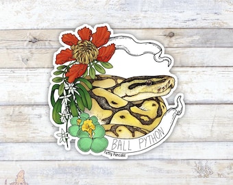 Pegatina de pitón bola, regalo para amantes de los reptiles, accesorios para portátiles y botellas de agua.