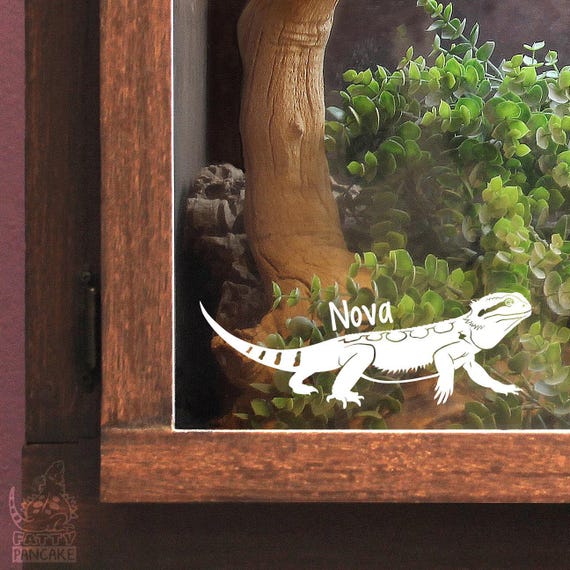 Décalcomanie personnalisable dragon barbu, cadeau pour les propriétaires et les amateurs de lézards reptiles, décor d&#39;étiquette de nom de boîtier