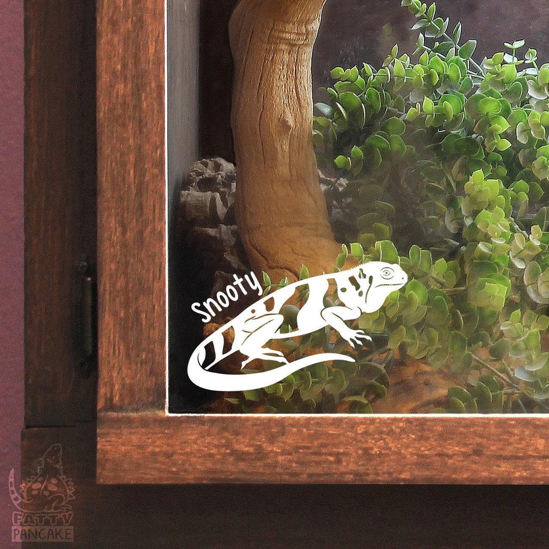 Fiji Banded Iguana Customizable Decal, Reptile Lover and Owner Gift ...