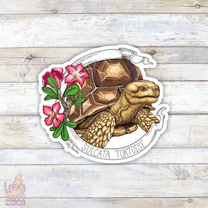 Sulcata Schildkröte Vinyl Aufkleber, Geschenk für Reptilien Liebhaber und Besitzer, Zubehör für Laptops und Wasserflaschen