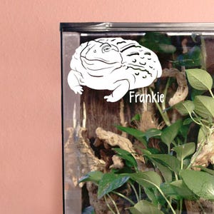 Pixie Frog Customizable Vinyl Decal, African Bullfrog Gift for Amphibian Owners and Lovers, Enclosure Name Tag Decor