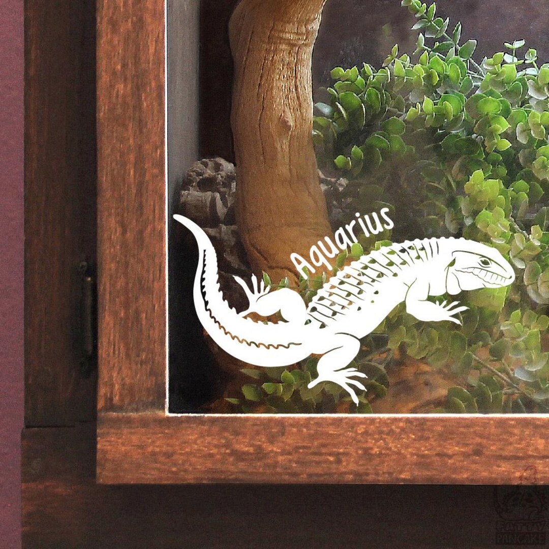 Caiman Lizard Customizable Vinyl Decal - Gift for Reptile Owners and ...
