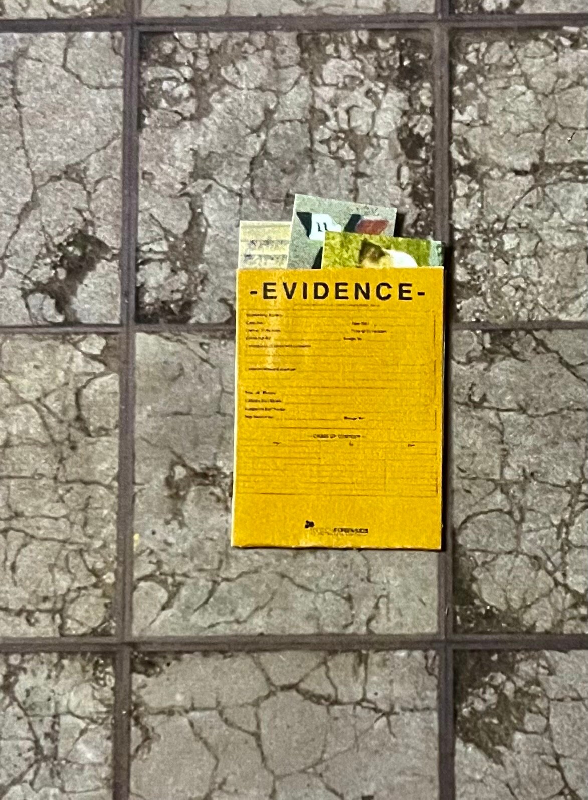 NEW - 1 Pc Evidence Police File Folder - This is Not Life Size. - Etsy