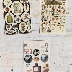 3 pc Science Lab Posters - these are not life size.
