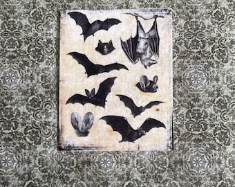 May include: Vintage style print featuring a collection of bats in various poses. The bats are black and white and are printed on a textured, off-white background.