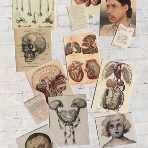 13 pc Doctor Desk & Wall Clutter - this is not life size.