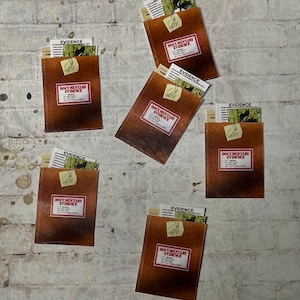 May include: Six brown envelopes with the text "DOCUMENTARY EVIDENCE" printed on them. Each envelope has a yellow sticky note with the word "EVIDENCE" written on it. The envelopes are on a white brick background.