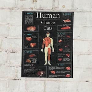Best Seller - Human Butcher Meat Chart  - this is NOT life size.
