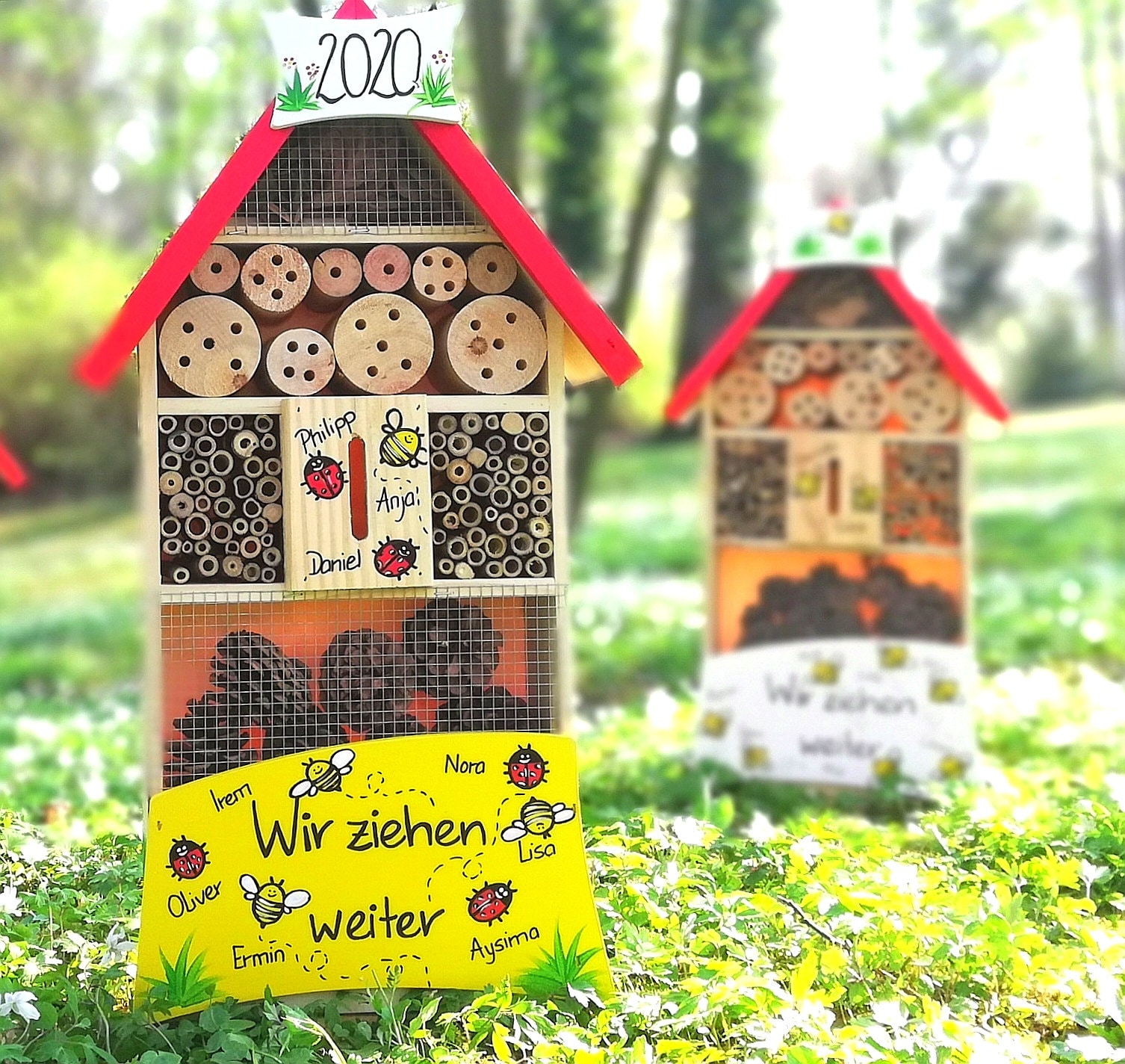 nursery farewell gift farewell gift gift educator insect