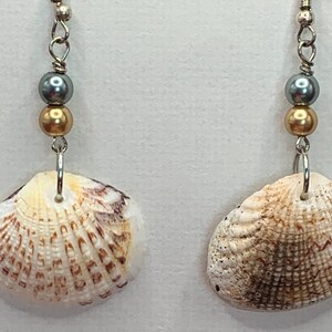 May include: A pair of dangle earrings featuring natural seashells. Each earring has a silver-tone hook, a gray bead, a gold bead, and a seashell pendant. The seashells are white with brown and tan markings, creating a coastal aesthetic.