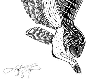 Tyto alba (Barn Owl) - Print