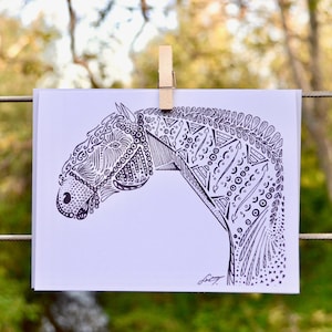 Equus caballus (Koń, Lusitano) - Kard