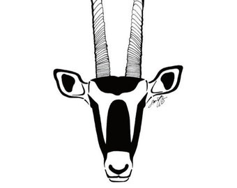 Oryx gazella (Gemsbok) - Print