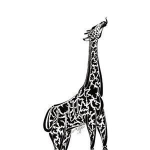 May include: Black and white line art illustration of a giraffe with its head tilted back and tongue extended. The giraffe is standing on all four legs with its body outlined in a detailed pattern.
