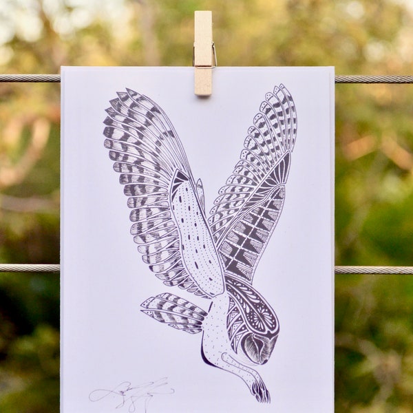 Tyto alba (Barn Owl) - Card