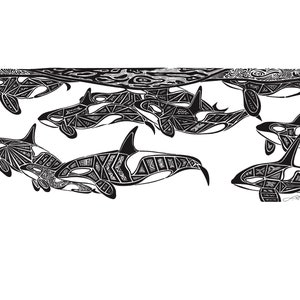 Orcinus orca (Orca, pod) - Print