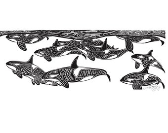 Orcinus orca (Orca, pod) - Print