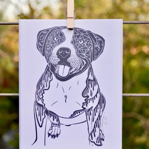 Canis lupus familiaris (pies domowy, Pitbull) - Karta