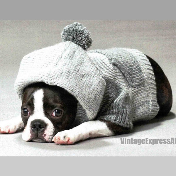 Dog Coat with Hood knitting pattern in English Dogs Sweater DK 8 ply 6 sizes S-XXL Hoodie with PomPom PDF Digital download