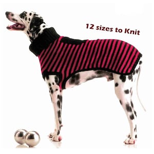 Può includere: Un cane dalmata che indossa un maglione a righe rosse e nere con un collo alto nero. Il maglione ha 12 taglie da lavorare a maglia. Il cane è in piedi su uno sfondo bianco.