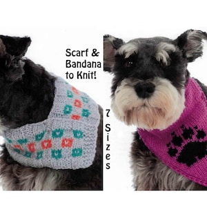 Op de afbeelding: Twee miniatuurschnauzers dragen gebreide hondensjaals en bandana's. De sjaal is lichtblauw met oranje en groene vierkanten. De bandana is roze met een zwarte pootprint. De tekst "Scarf & Bandana to Knit!" en "7 Sizes" is zichtbaar in de afbeelding.