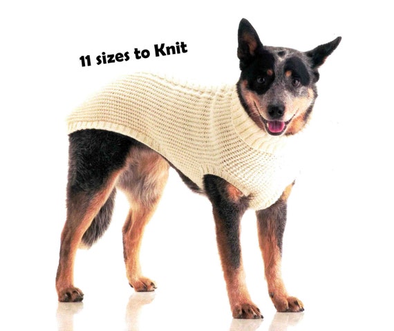 Polo sweater for dogs cheap