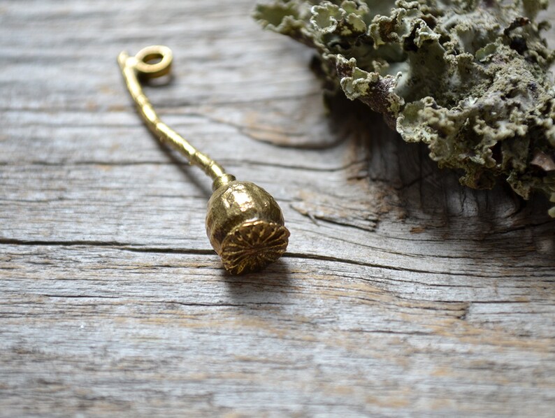 Poppy Seed Necklace Poppy Seed Pod Long Pendant Botanical Etsy