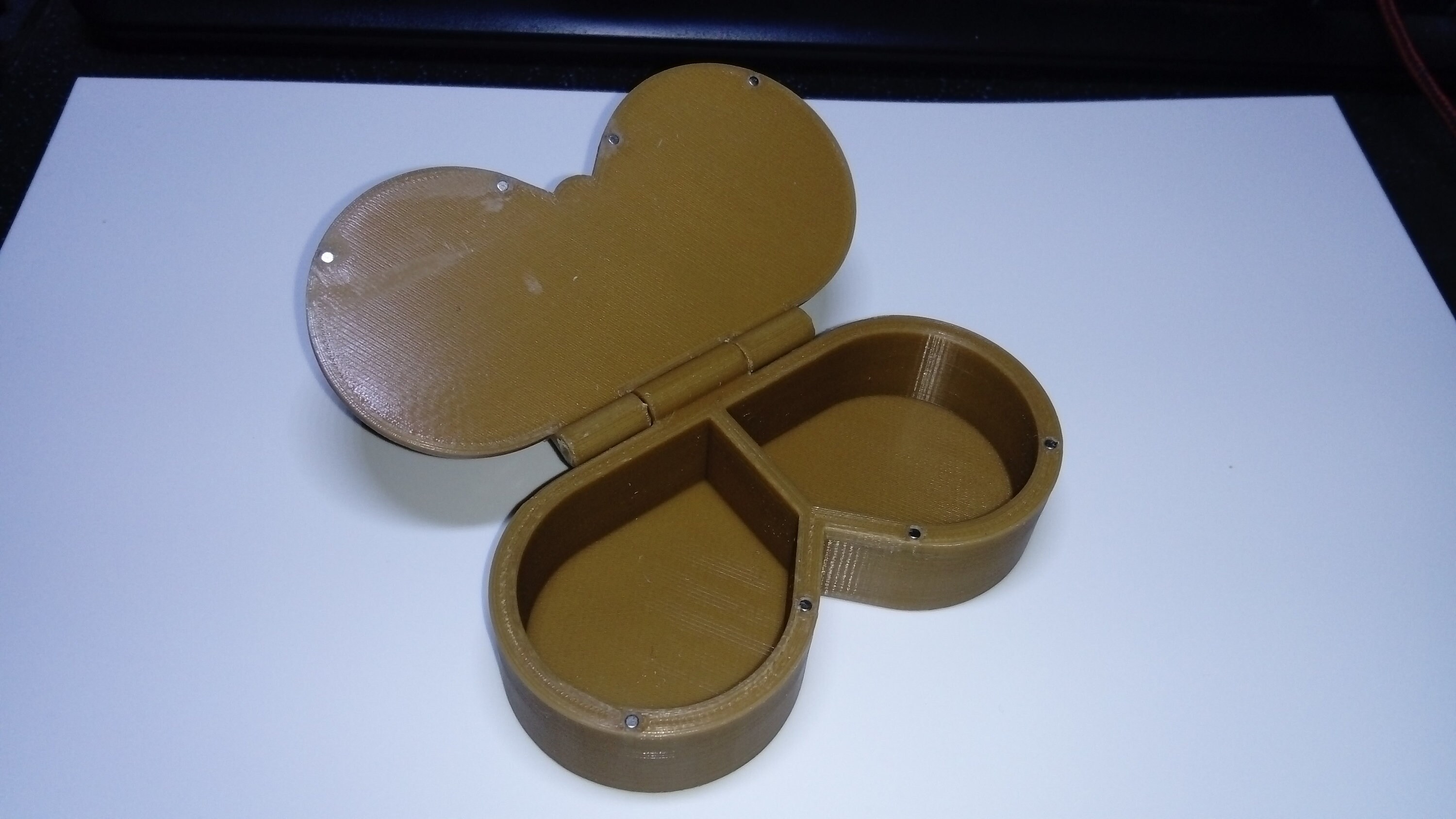 Double air rifle magazine case / holder Etsy