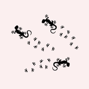 Aufkleber 3 Geckos mit Fußtapsen selbstklebend