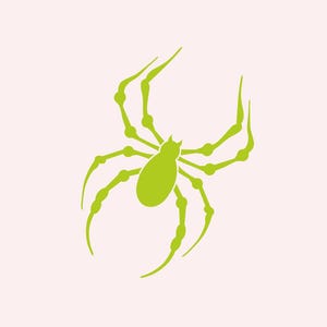 Aufkleber Spinne selbstklebend Autoaufkleber