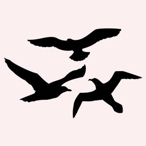 Selbstklebender Schutzvogel - Warnvogel für den Vogelschutz