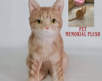 Pet Memorial Gifts, Pet Memorial Plush, Custom Cat Plush, Custom Pet Plush, Cat Stuffed Animal, Custom Stuffed Dog