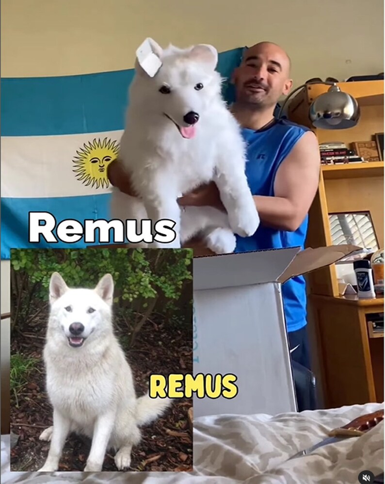 Peluches de mascotas personalizados, animales de peluche de perros personalizados, peluches personalizados de fotos de mascotas, foto a animal de peluche, juguetes de peluche de mascotas personalizados imagen 5