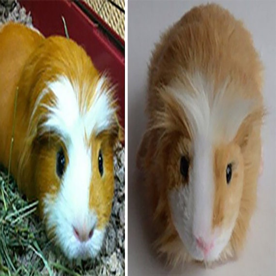 Custom Hamster Plush | Hamster Stuffed Animals | Pet Clone | Custom Stuffed Hamster| Hamster Replica