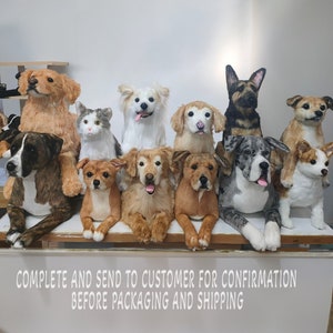 Peluches de mascotas personalizados, animales de peluche de perros personalizados, peluches personalizados de fotos de mascotas, foto a animal de peluche, juguetes de peluche de mascotas personalizados imagen 7