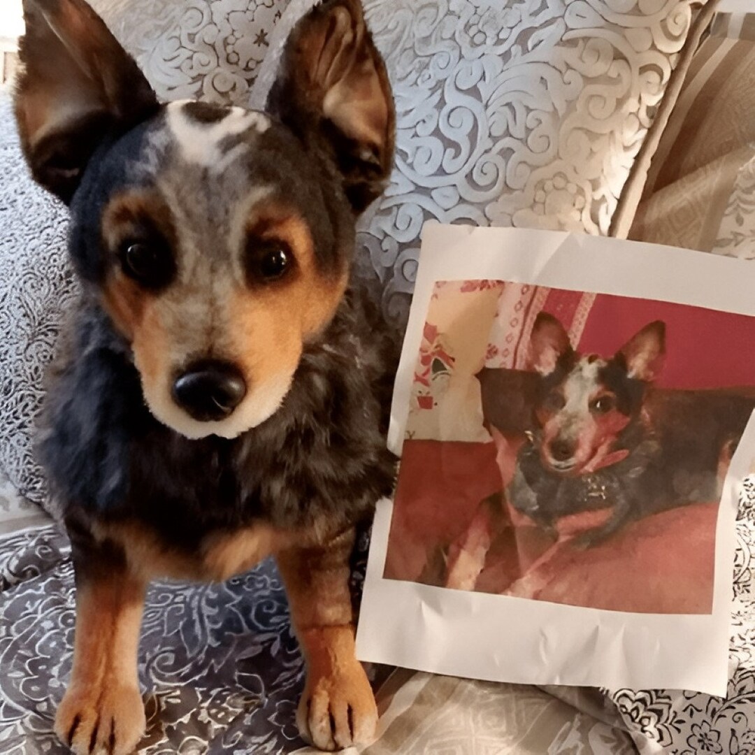 Pet Memorial Stuff Animal Custom Stuffed Animal Pet Clone Etsy