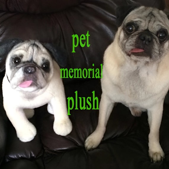 Personalized Pet Plushies, Custom Dog Stuffed Animals, Custom Plush from Pet Photos, Photo to Stuffed Animal, Personalized Pet Plush Toys