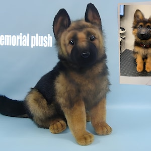 Pet Memorial Gifts, Pet Memorial Plush, Custom Dog Plush, Custom Pet Plush, Dog Stuffed Animal, Custom Stuffed Dog