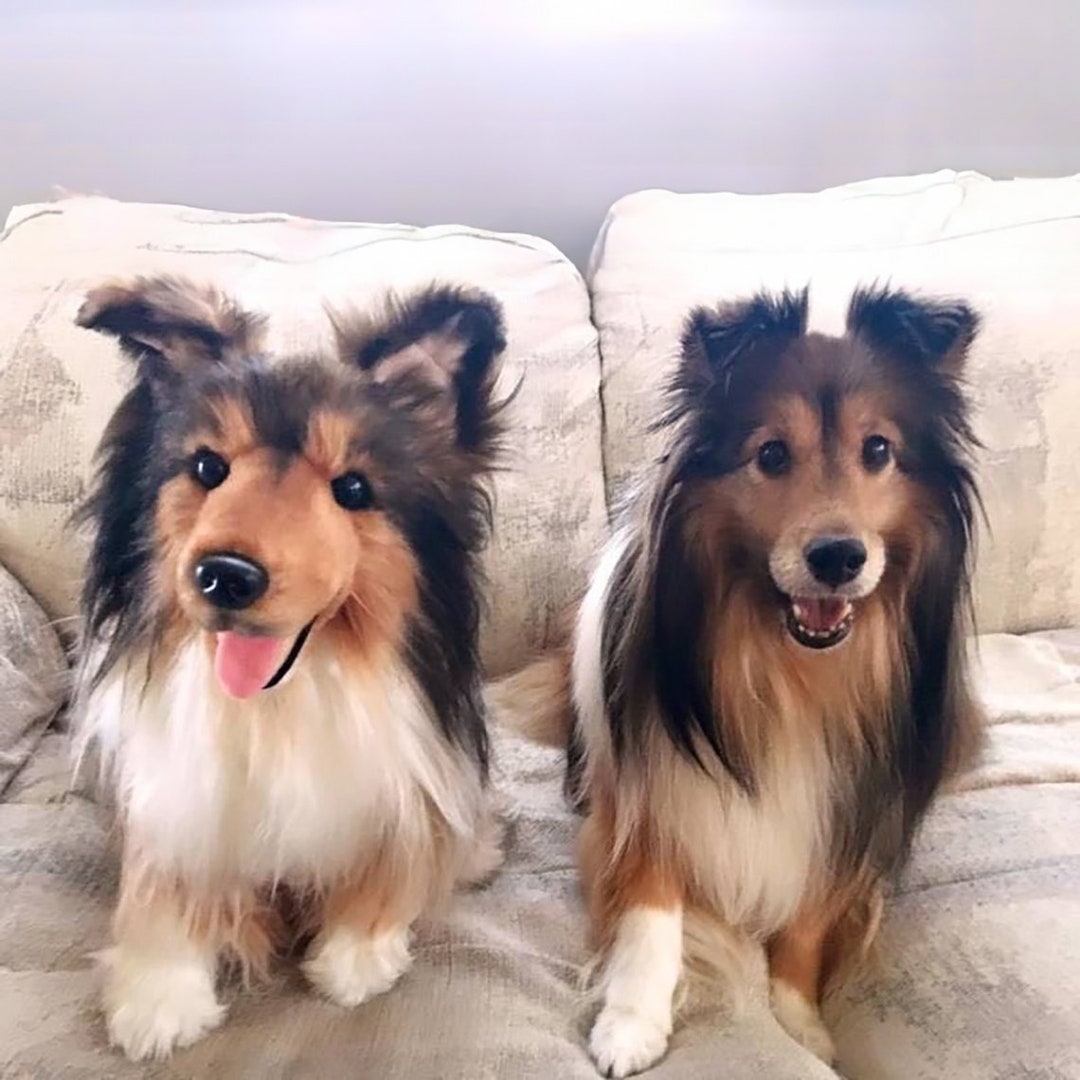 Personalized Pet Plushies, Custom Dog Stuffed Animals, Custom Plush