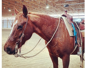 Romal Reins Natural Cow Rawhide, Romel 20 Plaits, Regular 55&quot; Romal Reins, Specially Hand-Crafted Braided Reins.