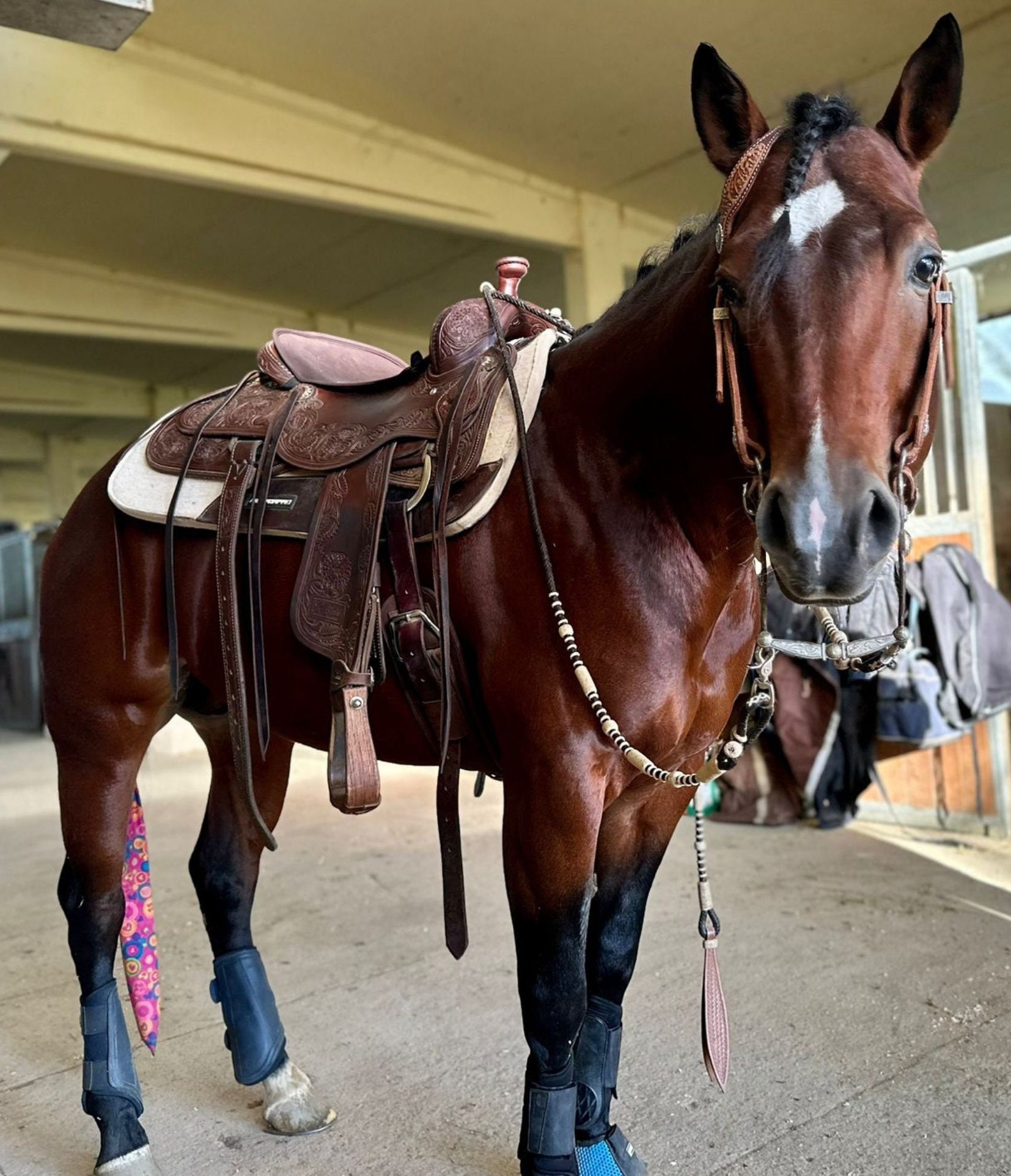 Redini Western - | Selleria Online, Negozio Per - Foto 5