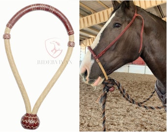 Bol A Raser Bride Hackamore Western Vintage - Bosal En Cuir Brut Et Métal, Avec Présentoir Bride Hackamore Bosal